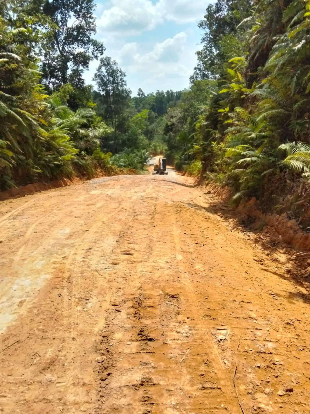 Nanga kayan